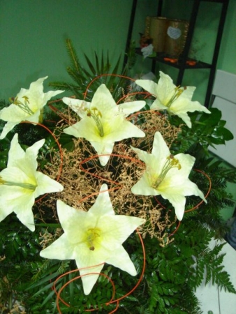 SZKOLEŃ CIĄG DALSZY...