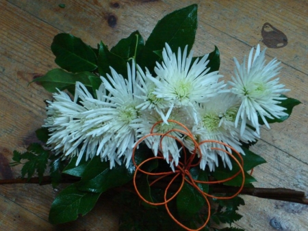 SZKOLEŃ CIĄG DALSZY...