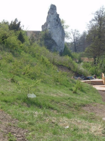 REKREACJA NAD WARTĄ W MSTOWIE I WANCERZOWIE