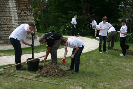 NOWE DRZEWA I KRZEWY W MSTOWIE