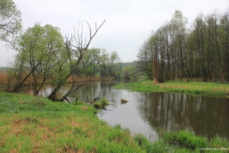 III Spinningowe Zawody Wędkarskie o Puchar Wójta Gminy Mstów – Święto Szczupaka 2013