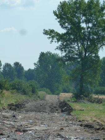 INWESTYCJE W MAŁUSACH WIELKICH