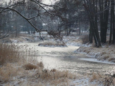 MSTÓW ZIMĄ