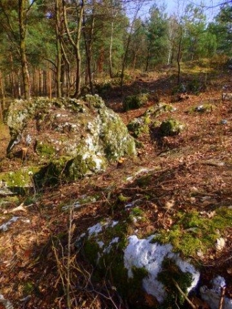 GEOCACHING -JURAJSKIE SKARBY JUŻ OD LIPCA!