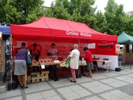 GMINA MSTÓW W CZĘSTOCHOWSKIEJ ORGANIZACJI TURYSTYCZNEJ