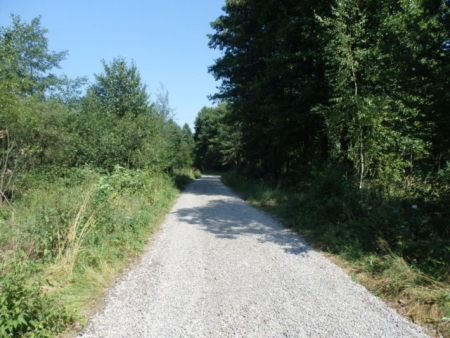 UTWARDZENIE DRÓG TRANSPORTU ROLNEGO W MOKRZESZY I PNIAKACH MOKRZESKICH