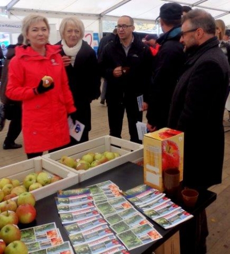 GMINA MSTÓW OBECNA NA OBCHODACH WOJEWÓDZKIEGO DNIA SENIORA