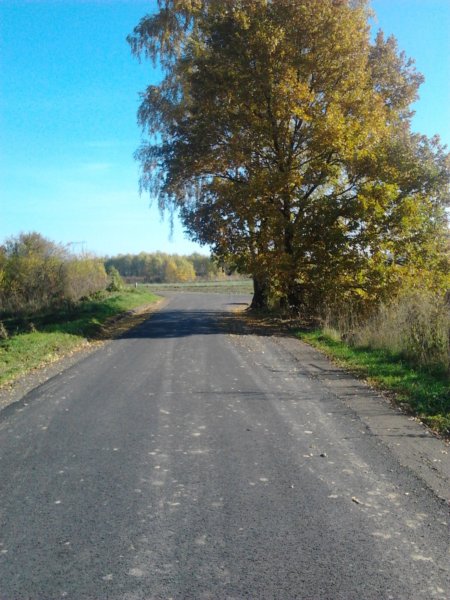 NOWE NAKŁADKI ASFALTOWE W CEGIELNI I NA UL.OŁOWIANKA W JASKROWIE