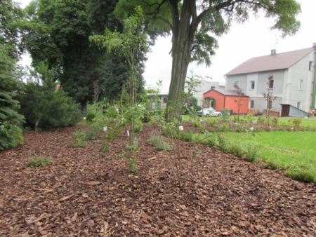 MINI OGRÓD BOTANICZNY PRZY SZKOLE PODSTAWOWEJ W MOKRZESZY